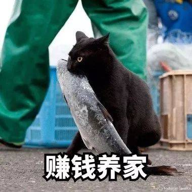 小酷教程丨酷雷曼運營功能課堂-信息類設置-酷雷曼VR全景